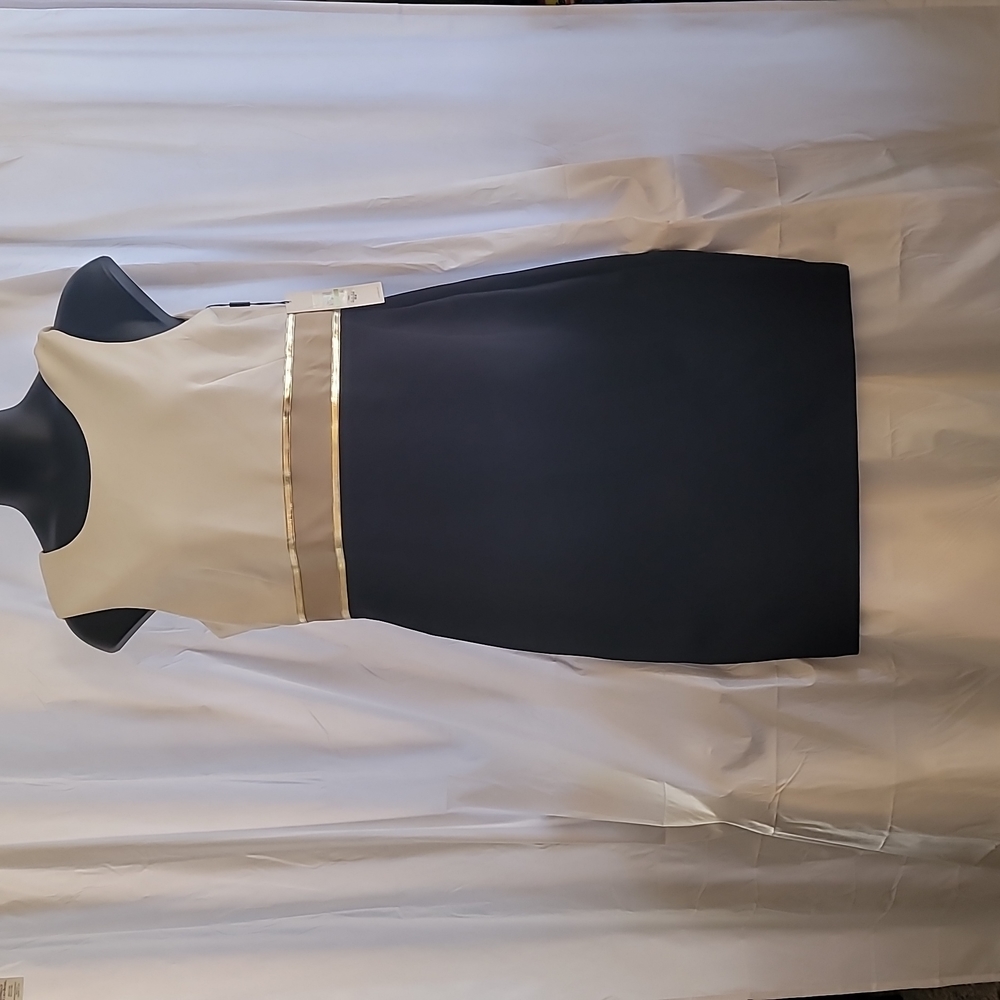 Calvin Klein 14 Women's Cream on Black Dress